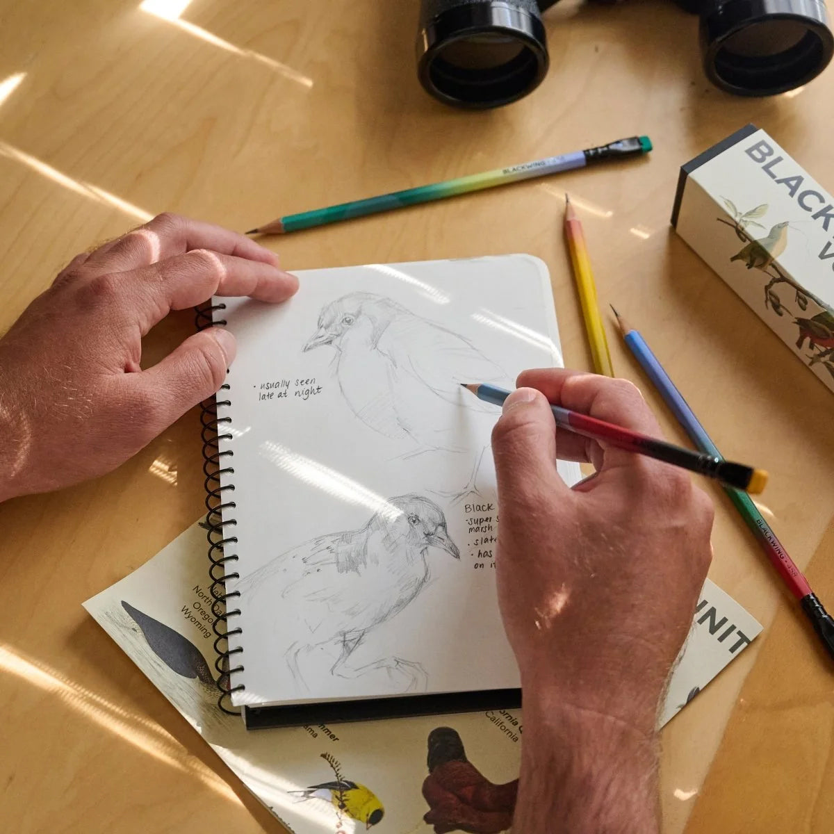 Blackwing Volume 458: The Birding Pencil