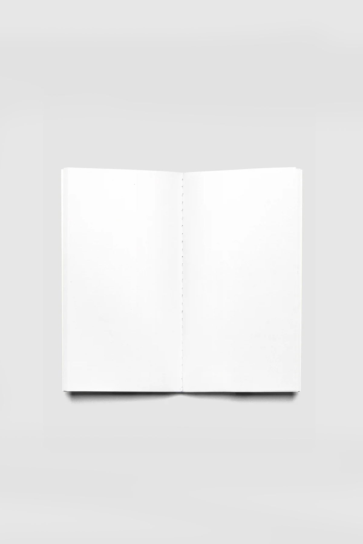 Cloth & Paper Pocket Plus Travel Notebook Blank