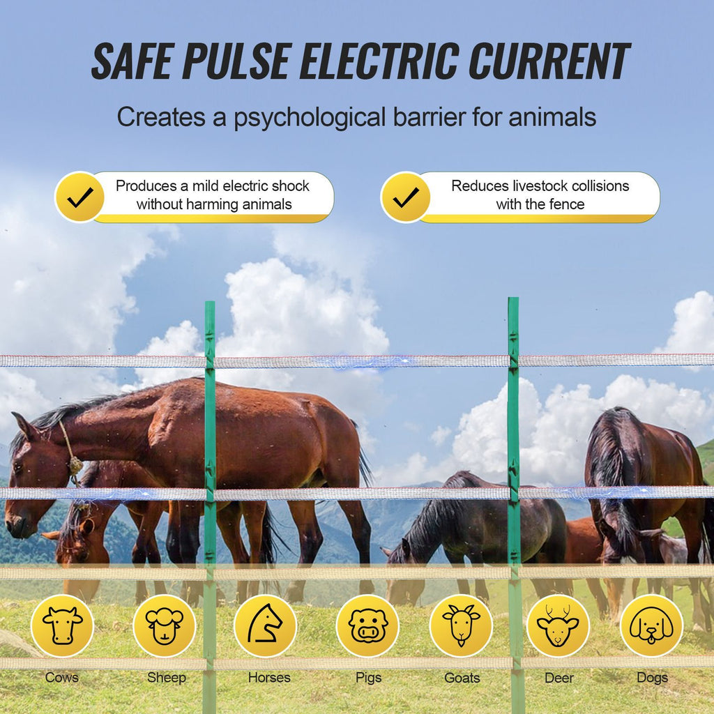 569921951